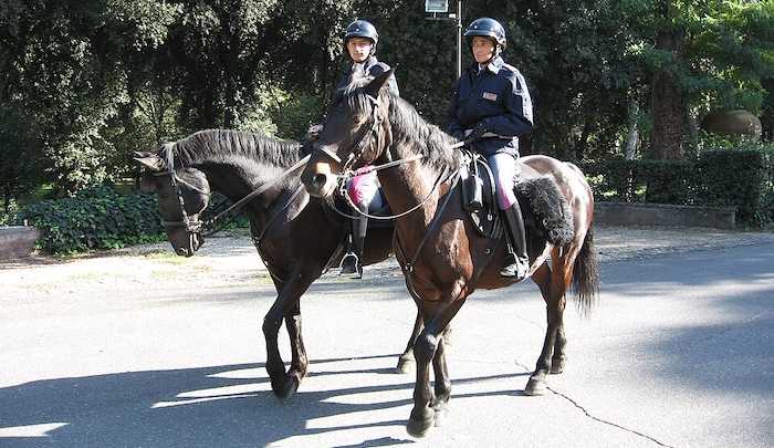 Policemen on horses, Piazzale dei cavalli marini, Villa Borghese, Roma, Italy, helix84,
Creative Commons Attribution 2.5